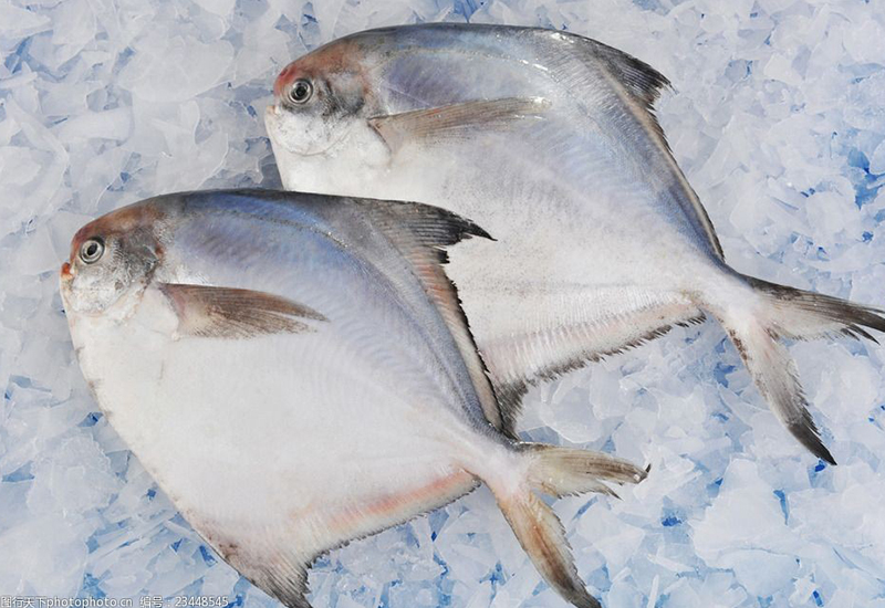 鯧魚