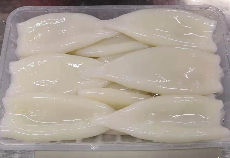 魷魚TO