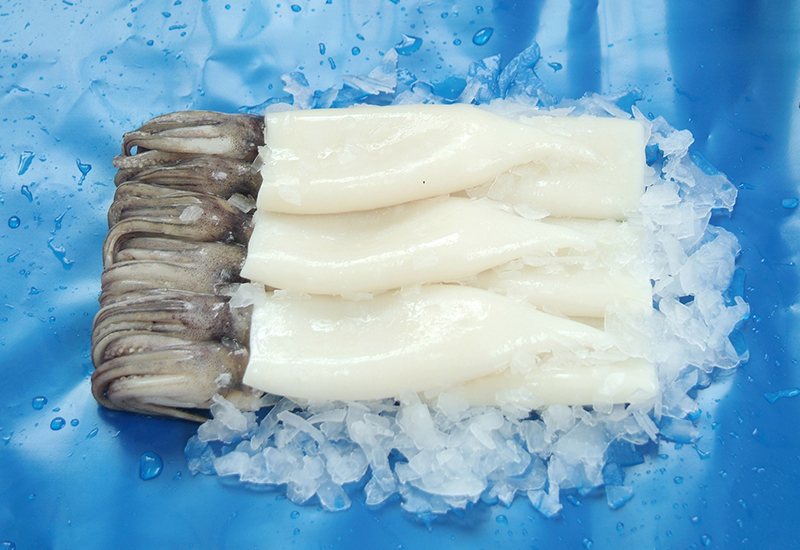 魷魚T&T